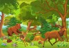 Animals running 30 pieces